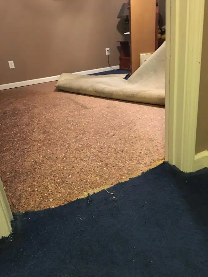 Carpet pad removal revealing water damage during Water Mitigation Services in Longmeadow